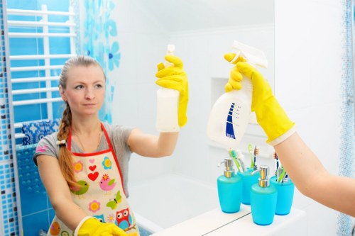 Professional pet stain and odour treatment for carpets in a Catford home