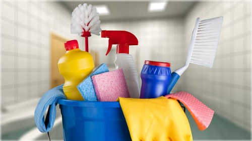 Professional carpet cleaning service for a Catford home interior