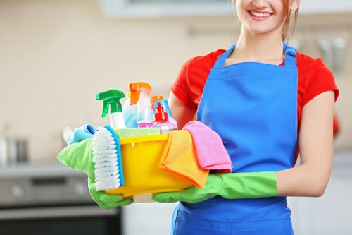 Professional house cleaning in a Catford home living room