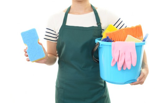 Regular domestic cleaning for a flat in Catford with local property details