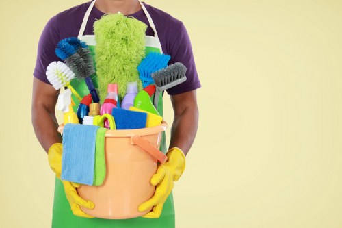 Professional upholstery cleaning service for a sofa in a Catford home