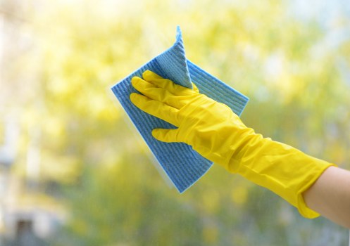 Local stain removal for carpets and upholstery in Catford