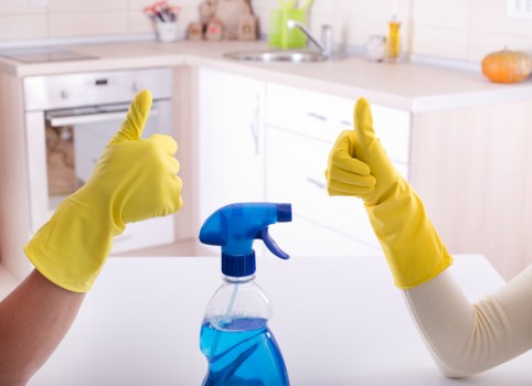 Regular domestic cleaning for flats and houses in Catford
