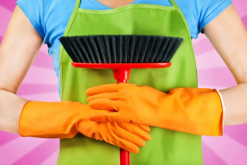 Regular cleaning service for a Catford home with a tidy living room and fresh floors