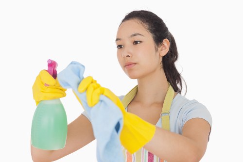 Detailed kitchen end of tenancy cleaning in Catford