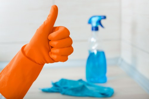 Professional oven cleaning service for homes in Catford
