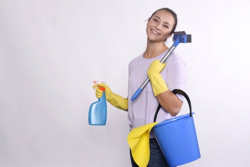 Professional exterior cleaning on brick and render in Catford