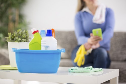 Local cleaners preparing a Catford property for guests or moving day