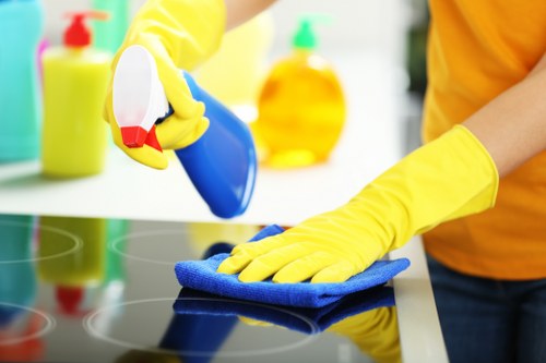 Detailed cleaning of oven racks and interior surfaces