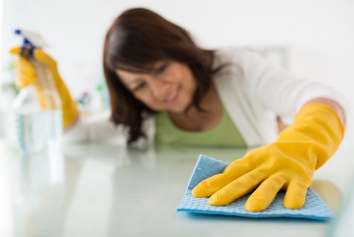 Deep mattress cleaning and stain treatment in Catford