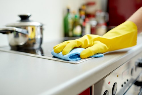 Cleaner Catford service carrying out safe and professional cleaning