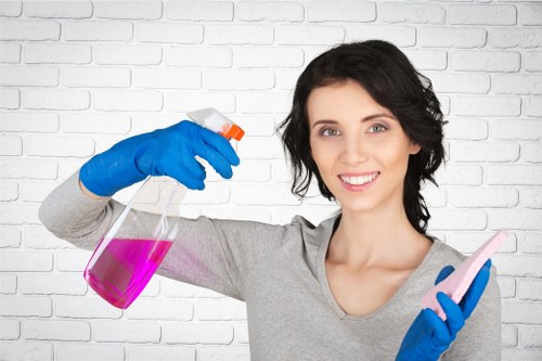 Dust removal and fabric care for curtains in Catford