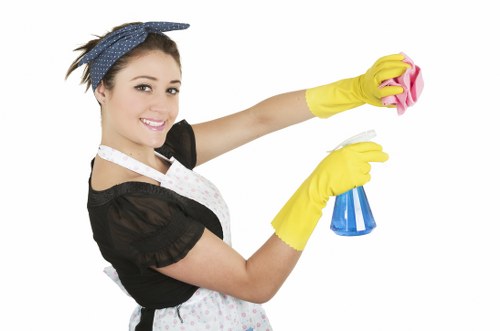 Odour neutralising service for pet stain removal in Catford