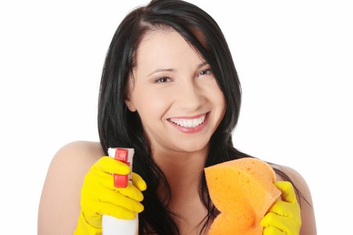 Local carpet cleaner treating a stain in a Catford property