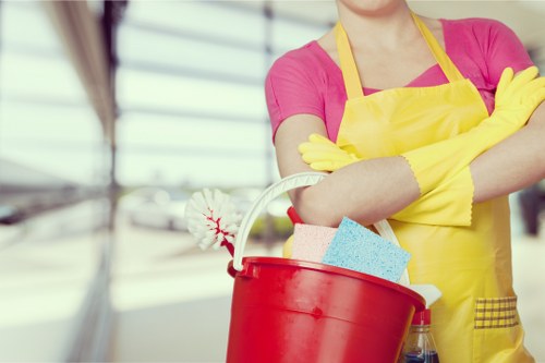 Residential carpet and sofa stain cleaning in Catford