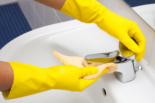 Residential and rental mattress cleaning across Catford