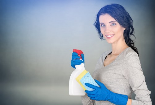 Preparation checklist for move in cleaning in Catford home
